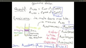 B41 - TP enzymologie - La gamme Etalon