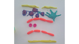 Vidéo Réponse innée Matteo & Esteban.mp4