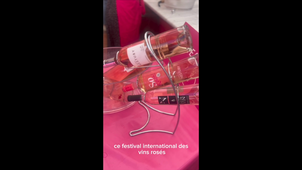 STAGE BUT 2 - HADJIGEORGIOU Tanaïs