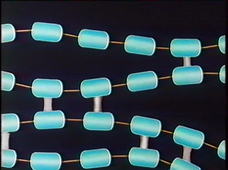 Thermoplastique Thermodurcissable