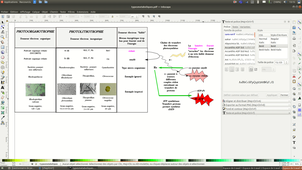 B35-microbiologie1-types trophiques