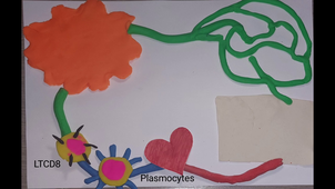 Video d'immunologie-Avengers-de-l'immunité-Ange-Boutaibi-deSauvage-Douguet-Valente.mp4