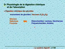 Physiologie digestive vidéo de la partie 4 (1) sur 4
