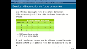 B51-chapitre2-III-chaîne respiratoire