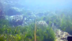 Projet Expérimental 2021