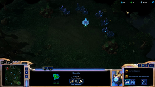 gameuse_starcraft
