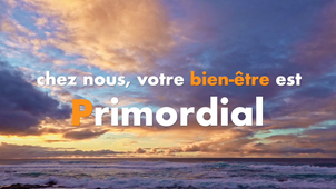 Amazon accueil vos chiens !